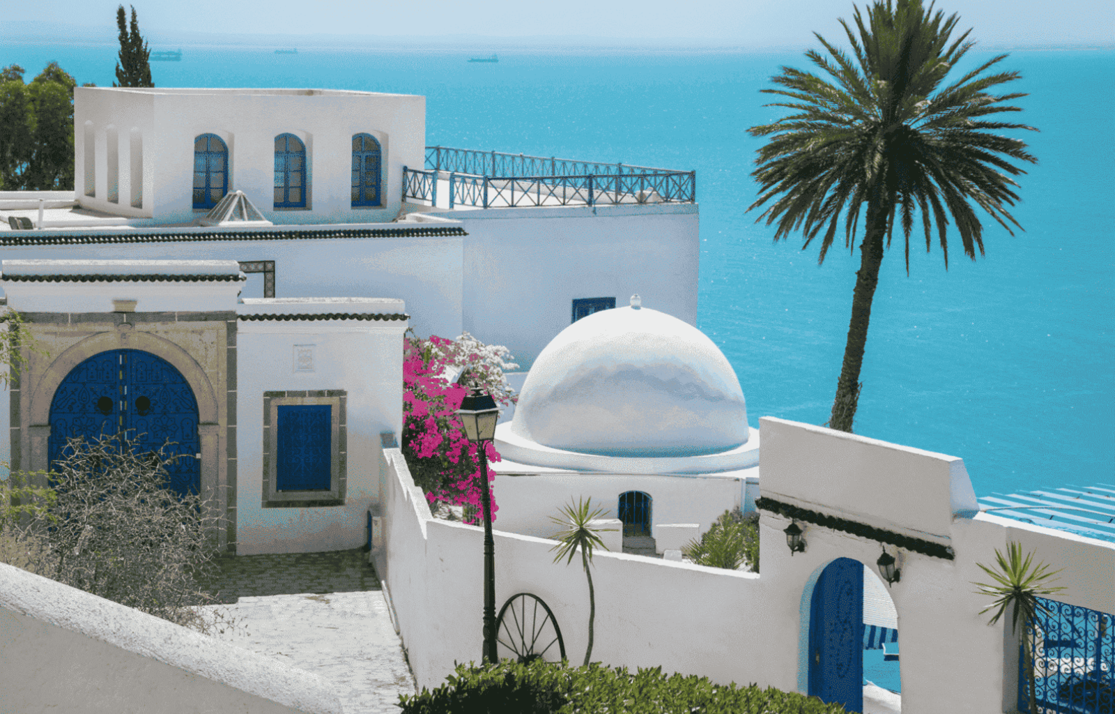 Tunis