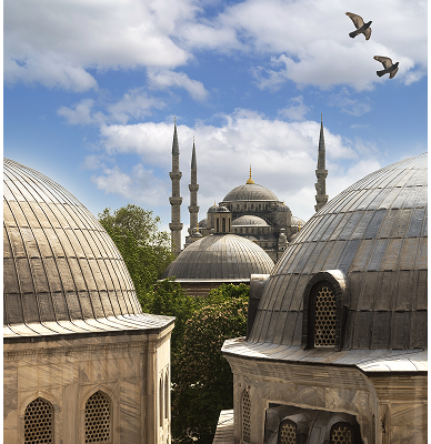 masar alnamaa turkey images 2 46091c2f