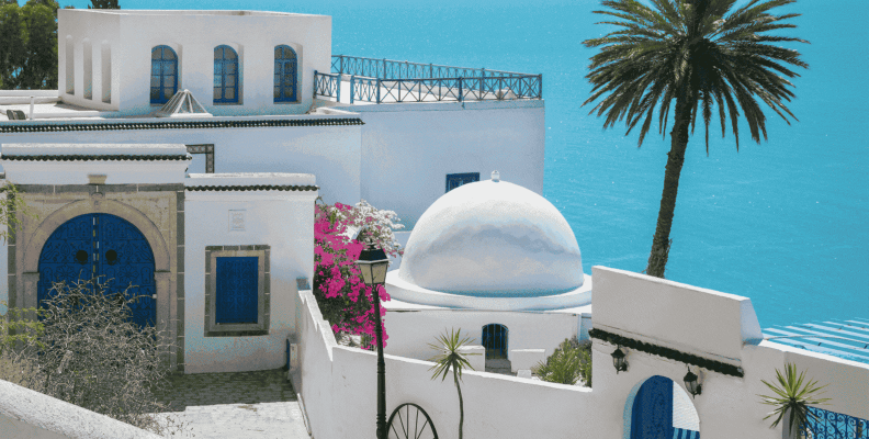 tunis image masar alnamaa destination