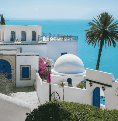 tunis image masar alnamaa destination